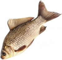 Карась не потрошеный(НП)